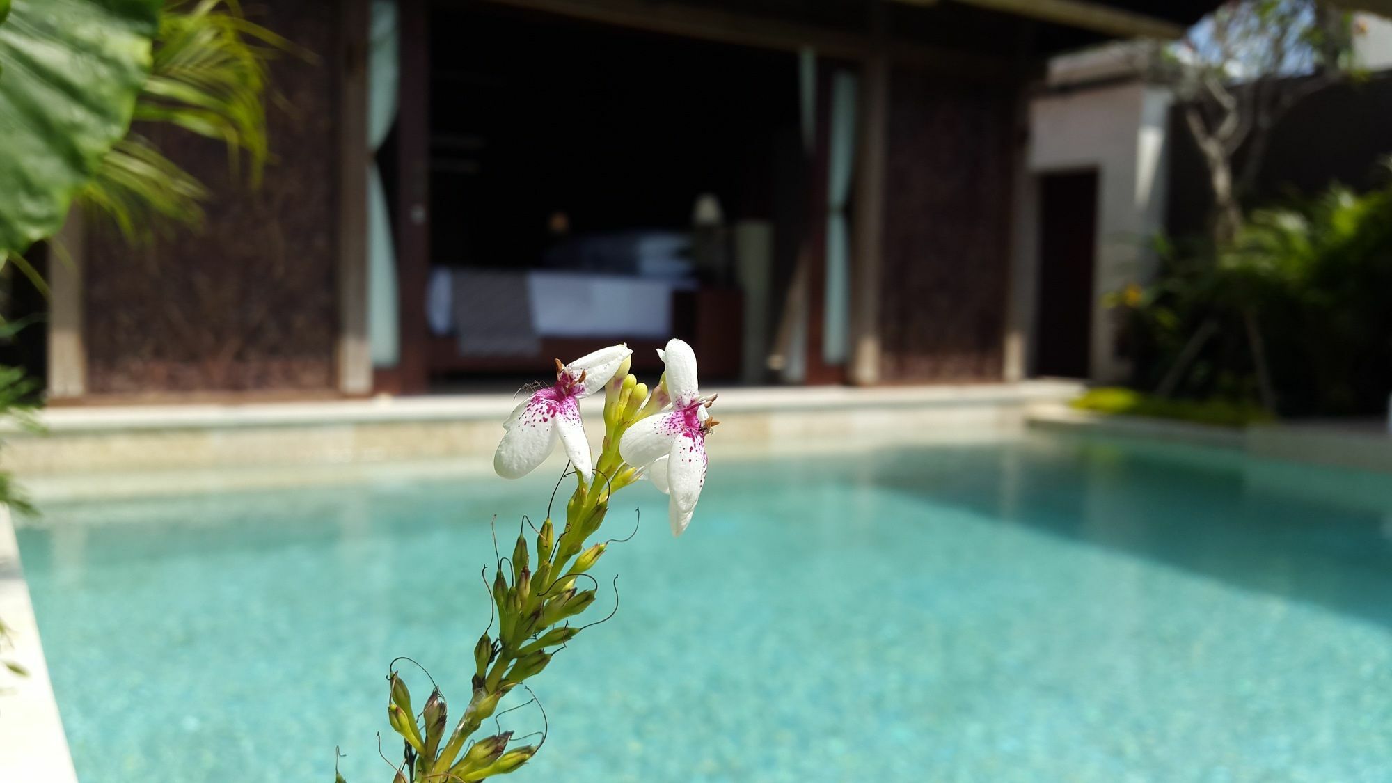 Sri Abi Ratu Villas Сукаваті Екстер'єр фото